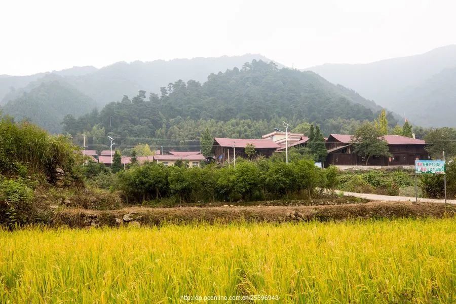 临川烟草局走访慰问东岗村脱贫户和孤寡老人