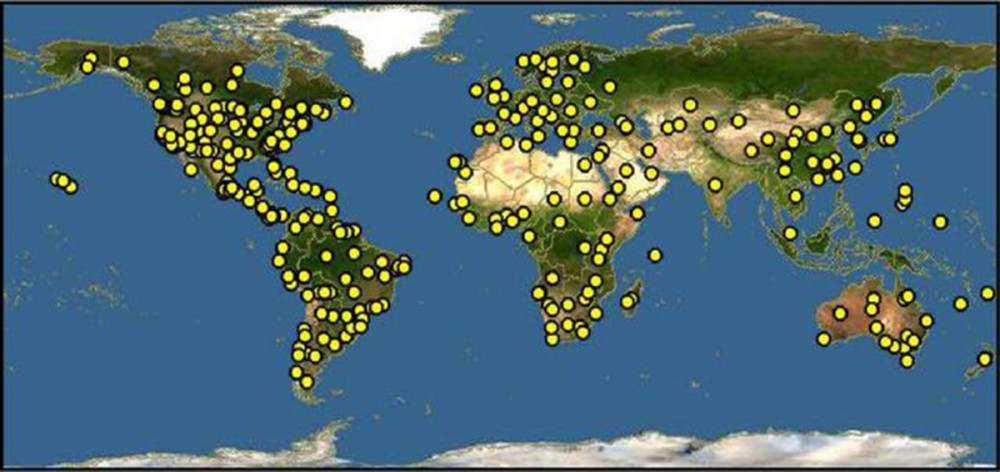 斑尾塍鹬|传说中的无脚鸟？历时11天，它不间断飞行12200千米，横跨太平洋