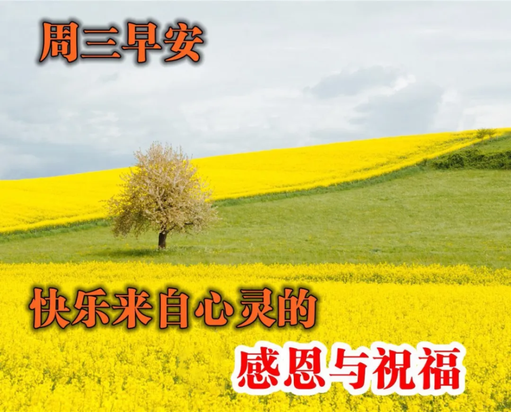 週三最新漂亮的早安吉祥圖片大全,星期三早上好最新問候圖片帶字