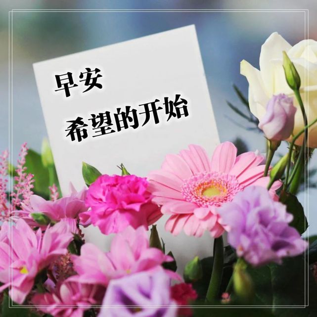 九月初一早晨问候语图片带鲜花 早上好祝福图片表情大全 鲜花