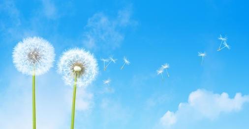 格律|怎样看待诗歌意境与诗歌韵律的平衡关系？