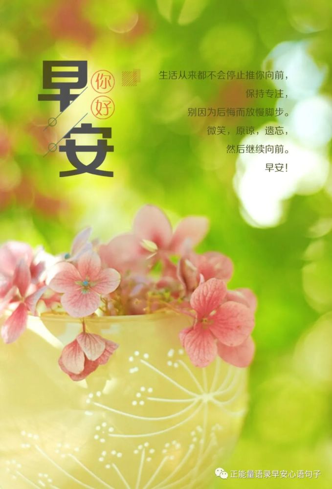 12月28日早安心语|微信早安问候语图片,早安正能量语录励志句子