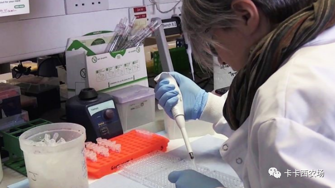 疫苗|冠状病毒：首批疫苗不太可能终结疫情的大流行