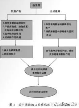 益生菌|可以用益生菌防治龋齿？
