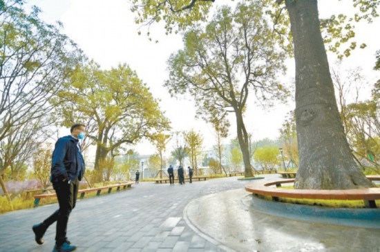 天坛|天坛外坛简易楼变公园