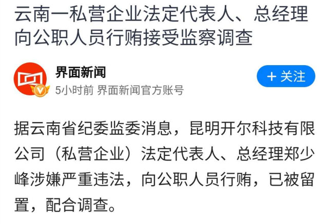 昆明开尔科技公司法人被带走:一群猪队友害了猪队长