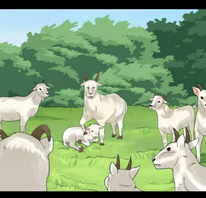 人性怪诞漫画黑羊头一群羊与一头狼的故事