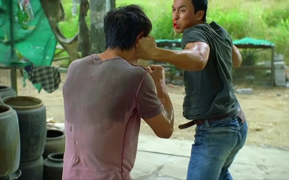 甄子丹五部经典动作片每一部都拳拳到肉全都看过真爱粉无疑