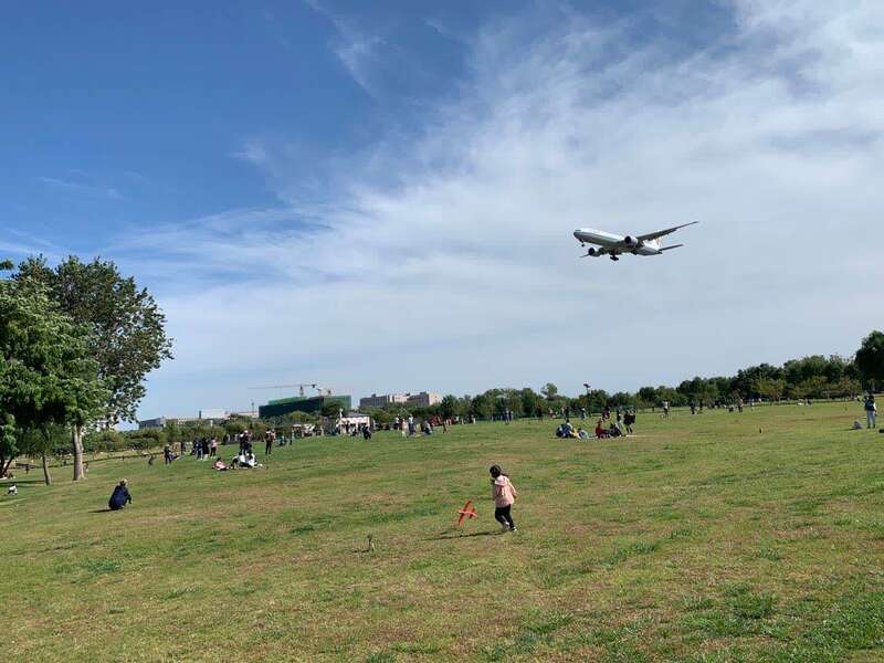 云分享|百名全球青年相聚“云”端 共同发声助力抗疫