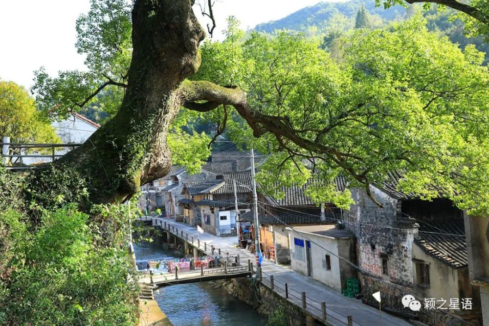 宁波五个石门村乡村旅游目的地但是方向别搞错