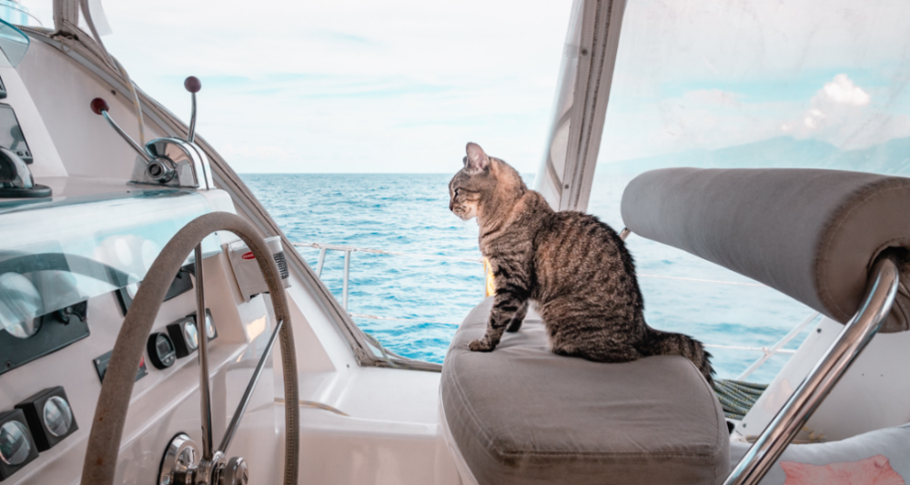 youtube|YouTube最火的十大航海博主