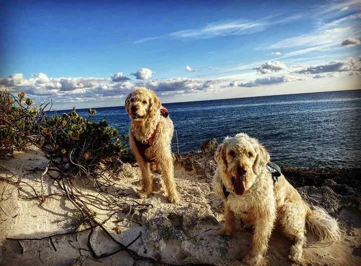 youtube|YouTube最火的十大航海博主