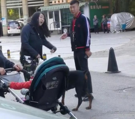 烈性犬|北京一女子遛巨型烈性犬不拴绳吓到大妈，女主人疯狂叫嚣：吓死你