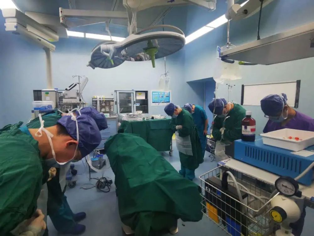 手术|再创生命奇迹！一天三台高难度肺移植手术，刷新浙江肺移植纪录