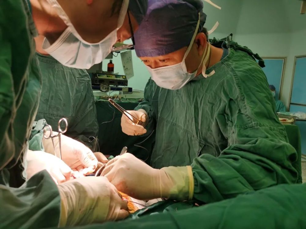 手术|再创生命奇迹！一天三台高难度肺移植手术，刷新浙江肺移植纪录