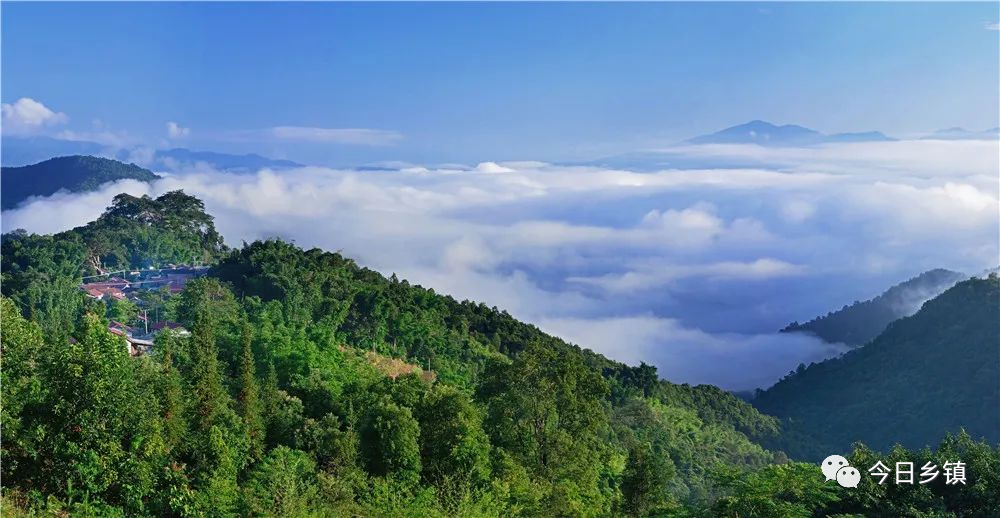 此次打造的35條線路涵蓋了臨滄眾多的旅遊景區景點,美麗鄉村等,內容