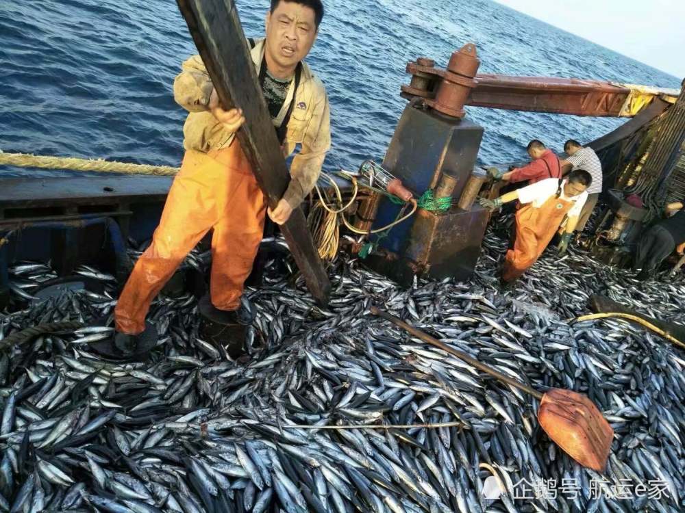 船员真实血泪分享|远洋渔船二副放弃11万年收入