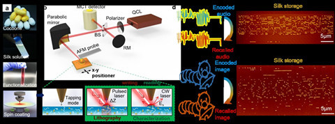 蚕丝硬盘|中国团队发明蚕丝硬盘，一个蚕茧就可以存1-3TB