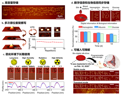 蚕丝硬盘|中国团队发明蚕丝硬盘，一个蚕茧就可以存1-3TB