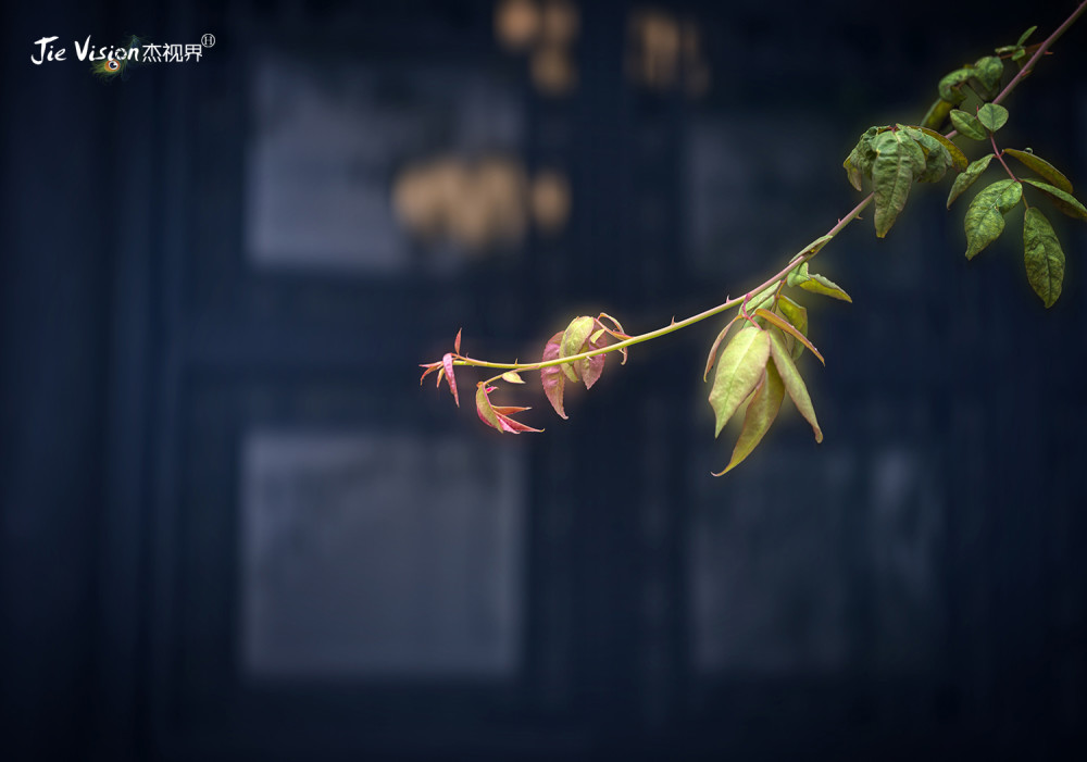 乾隆|乾隆年间的一场“骗局” 让京城北海白塔多了一个瘦西湖“姐妹”