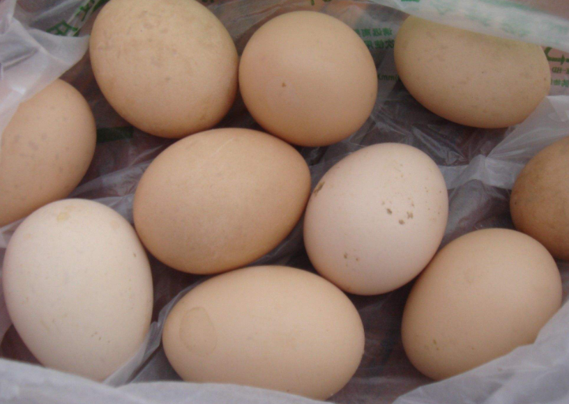 北京市市场监督管理局|北京这两家餐饮公司摊上事儿了，鸡蛋、草鱼都查出大问题，闹心！