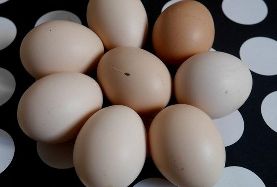 北京市市场监督管理局|北京这两家餐饮公司摊上事儿了，鸡蛋、草鱼都查出大问题，闹心！