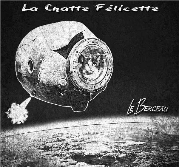 太空|57年前法国人往太空发射了一只猫，在宇宙俯视人类