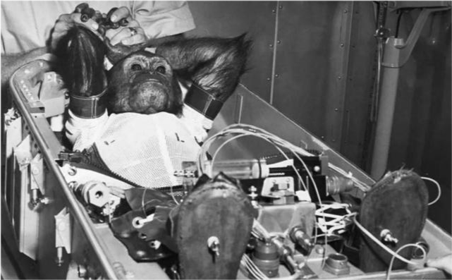 太空|57年前法国人往太空发射了一只猫，在宇宙俯视人类