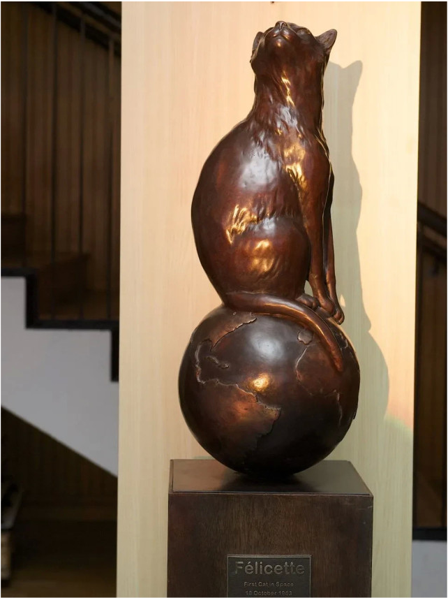 太空|57年前法国人往太空发射了一只猫，在宇宙俯视人类