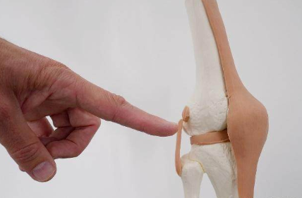 关节炎|10个中老年9个关节炎，3个预防重点，劝你提前做好准备