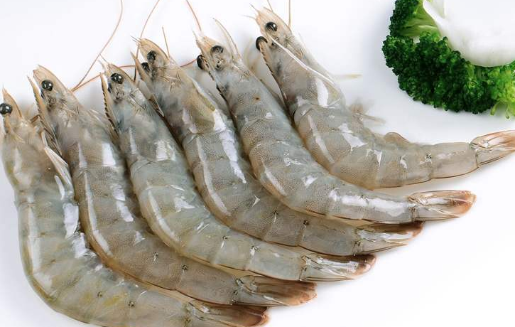 冲绳县|日本传来一个坏消息，这种传染病首次出现，30天内死亡近10万只虾