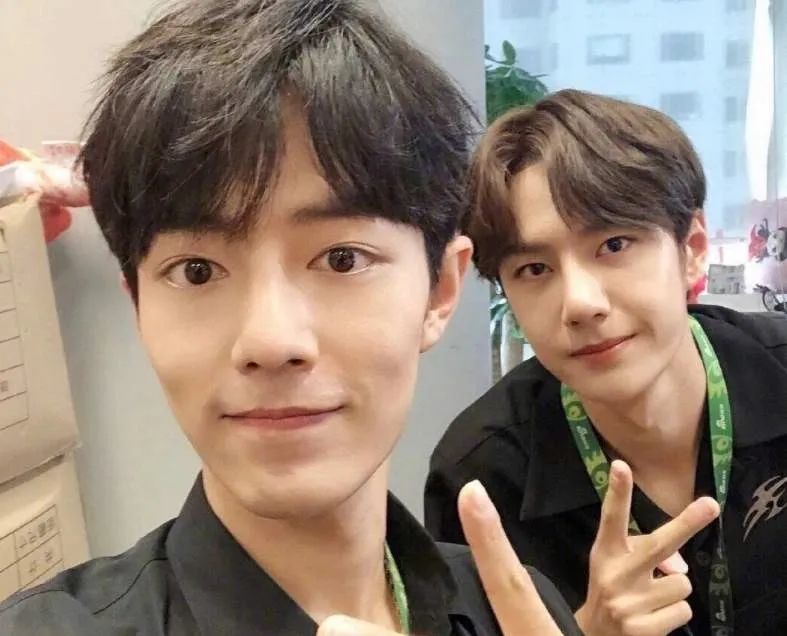 李易峰|双十一晚会曝光阵容：肖战王一博有望同台，李易峰杨幂再续前缘？