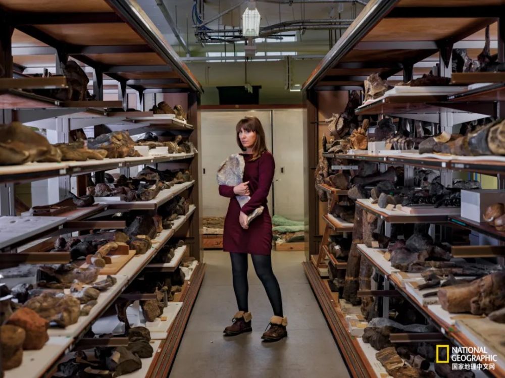 英国自然历史博物馆|恐龙根本不是你想的那样