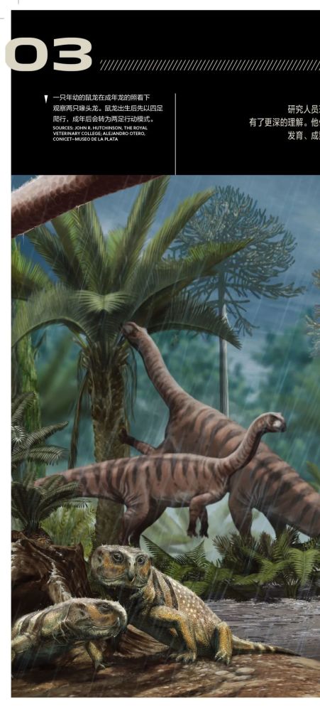 英国自然历史博物馆|恐龙根本不是你想的那样