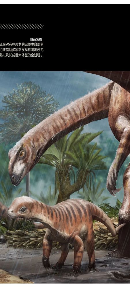 英国自然历史博物馆|恐龙根本不是你想的那样