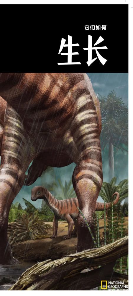 英国自然历史博物馆|恐龙根本不是你想的那样