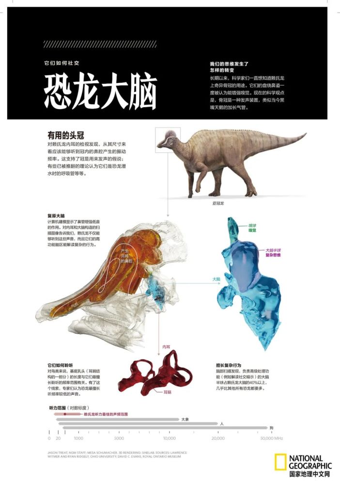 英国自然历史博物馆|恐龙根本不是你想的那样