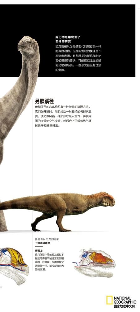 英国自然历史博物馆|恐龙根本不是你想的那样