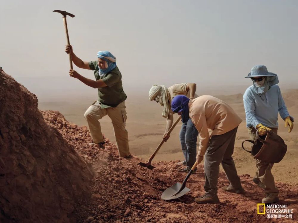 英国自然历史博物馆|恐龙根本不是你想的那样