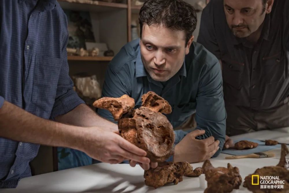 英国自然历史博物馆|恐龙根本不是你想的那样