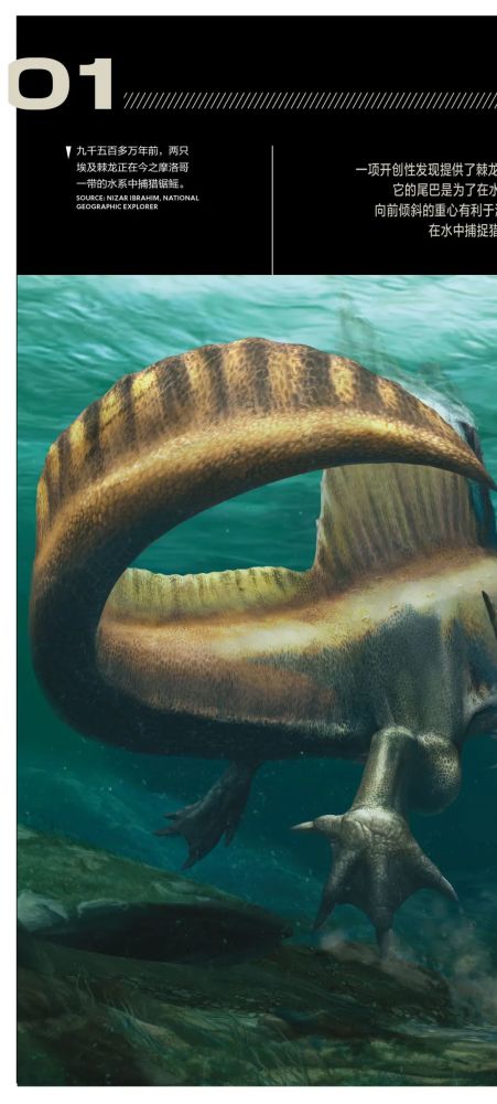 英国自然历史博物馆|恐龙根本不是你想的那样