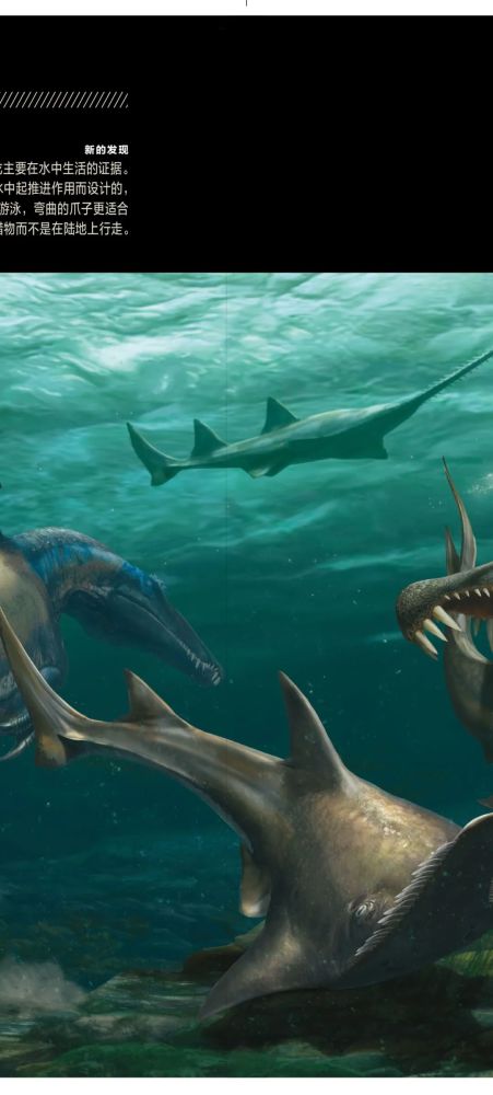 英国自然历史博物馆|恐龙根本不是你想的那样