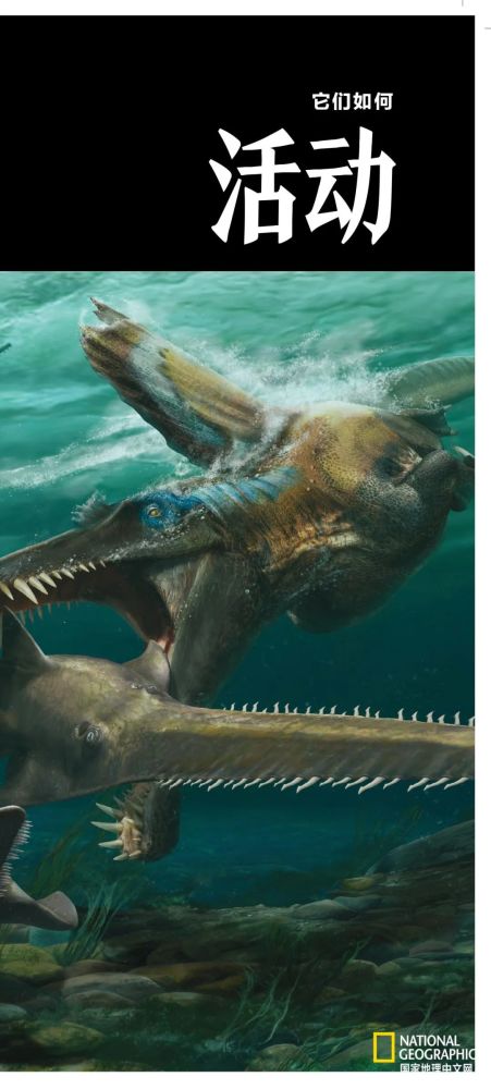 英国自然历史博物馆|恐龙根本不是你想的那样