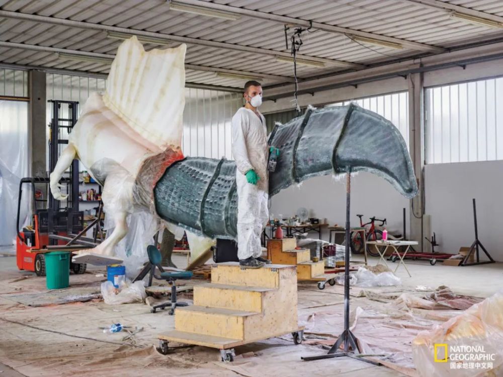 英国自然历史博物馆|恐龙根本不是你想的那样