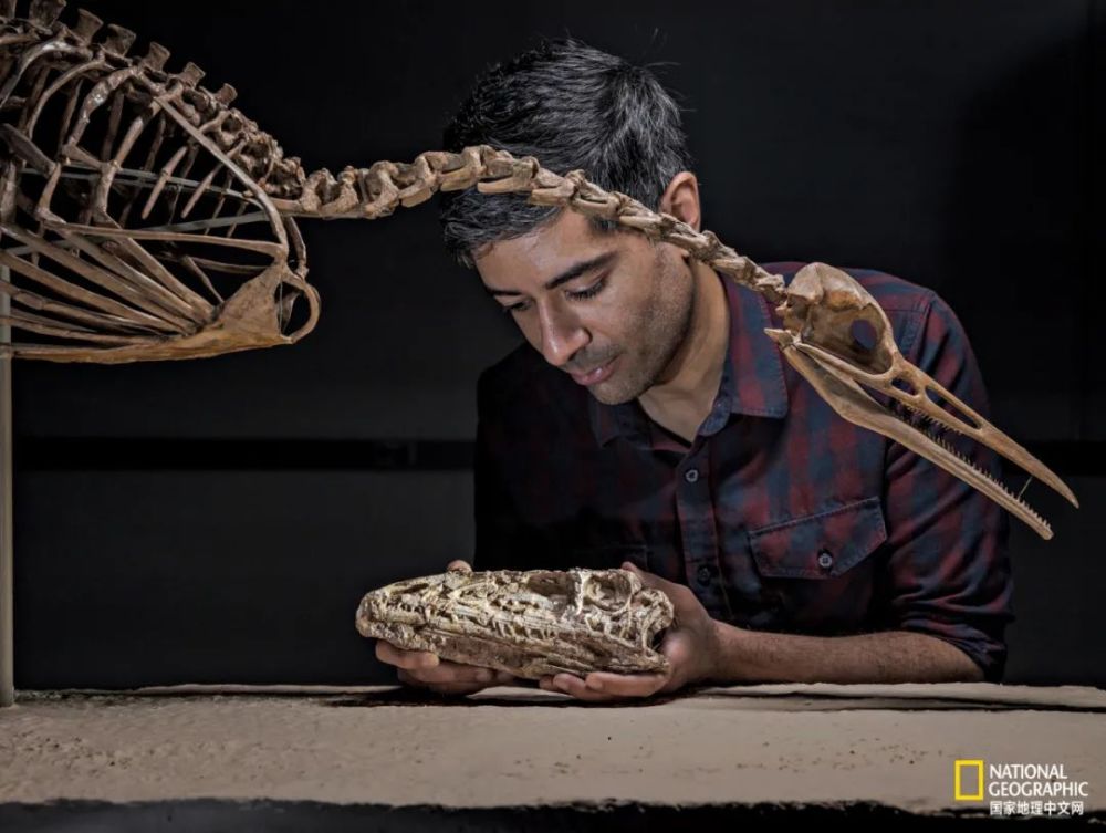 英国自然历史博物馆|恐龙根本不是你想的那样