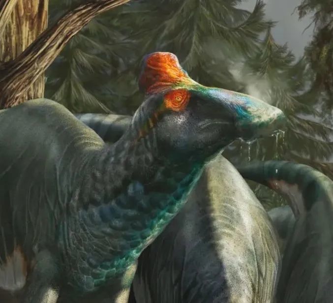 英国自然历史博物馆|恐龙根本不是你想的那样