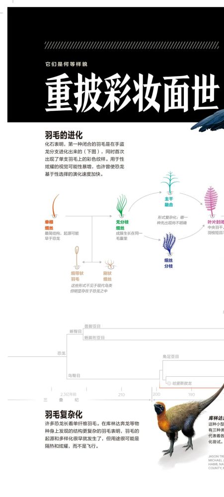 英国自然历史博物馆|恐龙根本不是你想的那样