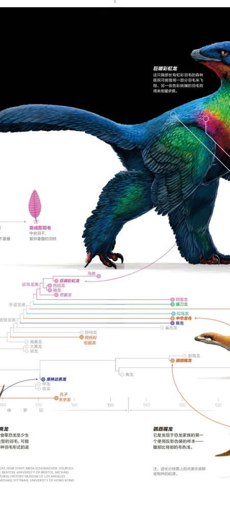 英国自然历史博物馆|恐龙根本不是你想的那样