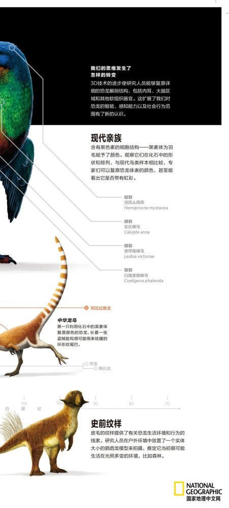 英国自然历史博物馆|恐龙根本不是你想的那样