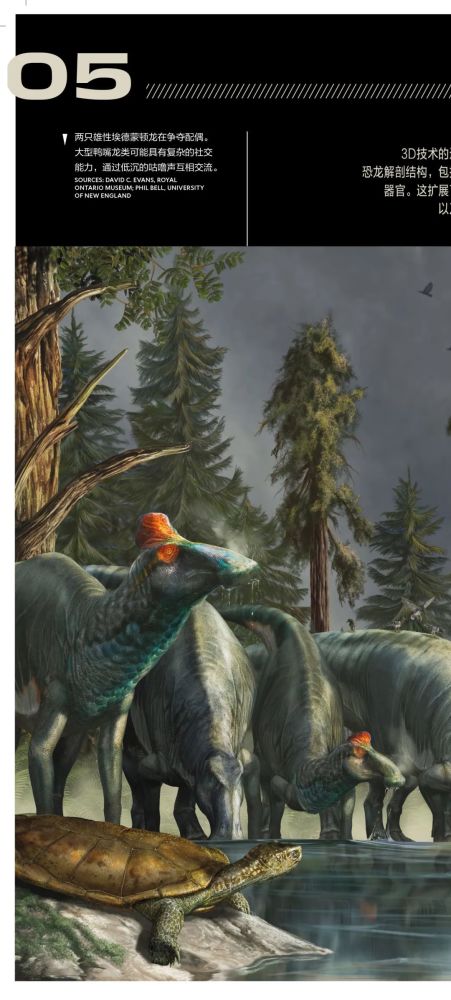 英国自然历史博物馆|恐龙根本不是你想的那样